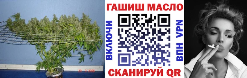 Дистиллят ТГК THC oil  купить наркотик  Тамбов 