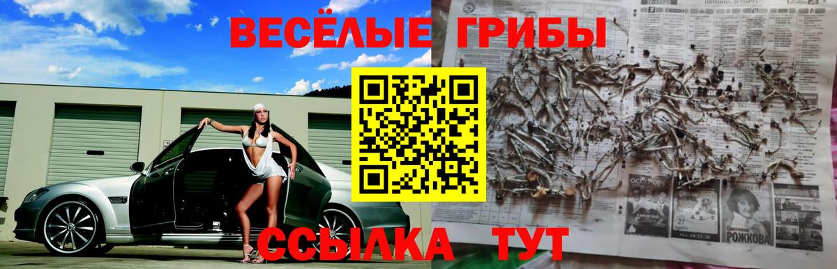 Тамбов  Псилоцибиновые грибы Psilocybine cubensis  Вход с VPN 